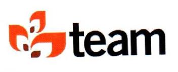 TEAM
