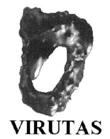 VIRUTAS