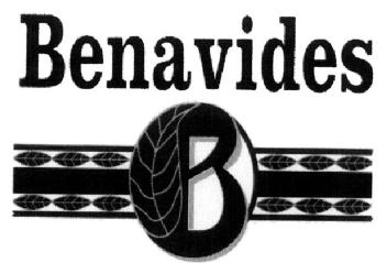 B BENAVIDES