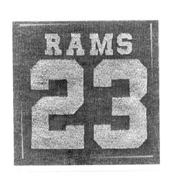 RAMS 23