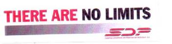 THERE ARE NO LIMITS SDP SISTEMAS DINAMICOS DEL POTENCIAL DEL AUTOMOVIL, S.A