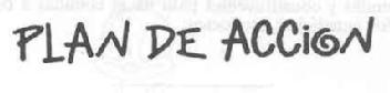 PLAN DE ACCION