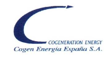 COGENERATION ENERGY COGEN ENERGIA ESPAÑA S.A
