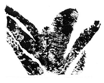 M2533719(X)