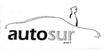 AUTOSUR GRUPO 4