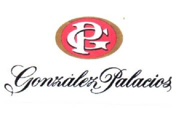 GP GONZALEZ PALACIOS