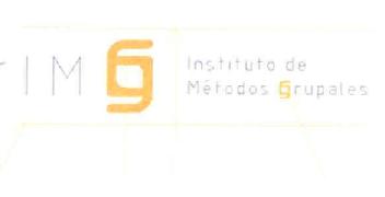 IMG INSTITUTO DE METODOS GRUPALES