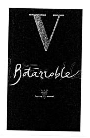 V BOTARROBLE