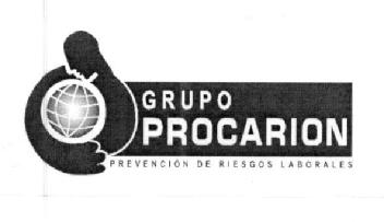 GRUPO PROCARION PREVENCION DE RIESGOS LABORALES