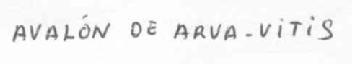 AVALON DE ARVA-VITIS