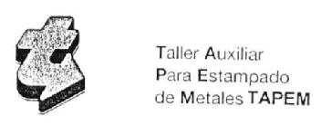 T TALLER AUXILIAR PARA ESTAMPADO DE METALES TAPEM