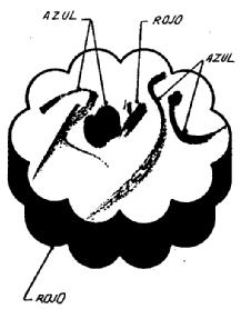 ROYSE