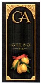 GA GILSO