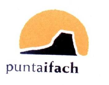 PUNTAIFACH