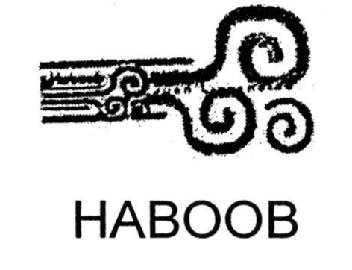 HABOOB