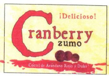 DELICIOSO CRANBERRY ZUMO COCTEL DE ARANDANO ROJO Y DULCE
