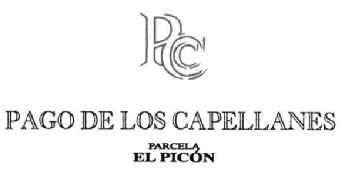 PC PAGO DE LOS CAPELLANES PARCELA EL PICON