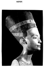 NEFER