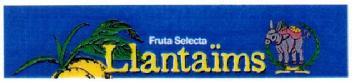 FRUTA SELECTA LLANTAIMS