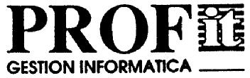PROFIT GESTION INFORMATICA