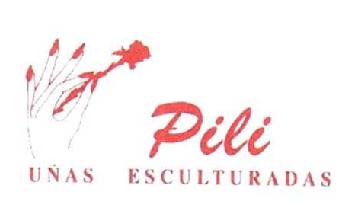 PILI UÑAS ESCULTURADAS