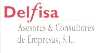 DELFISA ASESORES & CONSULTORES DE EMPRESAS, S.L