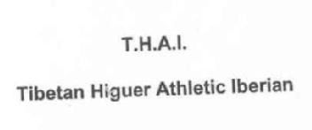 T.H.A.I. TIBETAN HIGUER ATHLETIC IBERIAN
