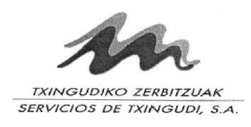 TXINGUDIKO ZERBITZUAK SERVICIOS DE TXINGUDI, S.A