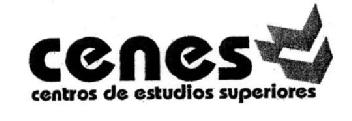 CENES CENTROS DE ESTUDIOS SUPERIORES