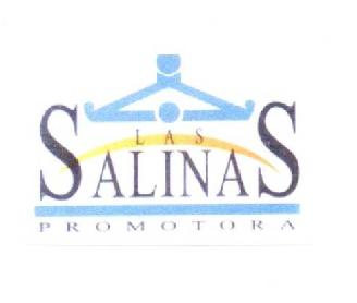 LAS SALINAS PROMOTORA