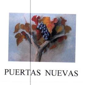 PUERTAS NUEVAS