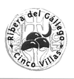 RIBERA DEL GALLEGO CINCO VILLAS