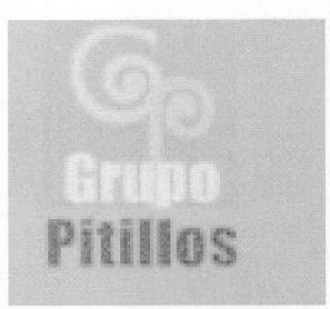 GP GRUPO PITILLOS