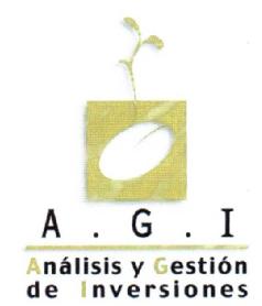 A.G.I. ANALISIS Y GESTION DE INVERSIONES