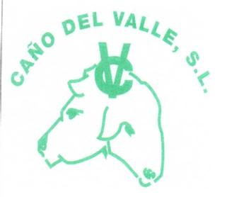CV CAÑO DEL VALLE, S.L