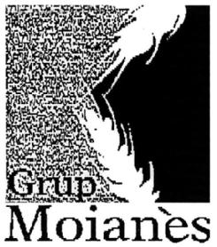 GRUP MOIANES
