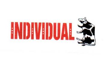 INDIVIDUAL