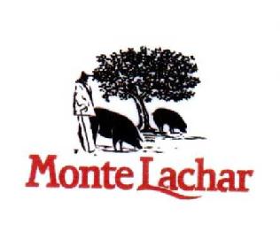 MONTE LACHAR