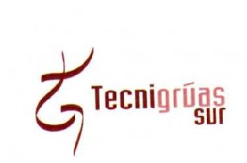 TECNIGRUAS SUR