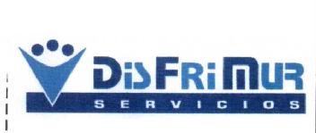 V DISFRIMUR SERVICIOS
