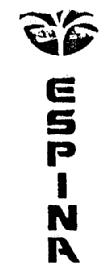 ESPINA