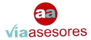 AA VIAASESORES