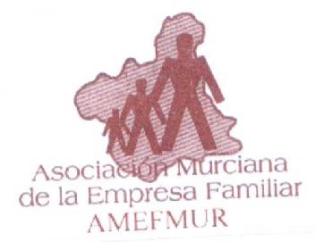ASOCIACION MURCIANA DE LA EMPRESA FAMILIAR AMEFMUR