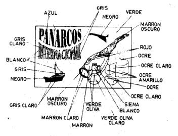 PANARCOS INTERNACIONAL