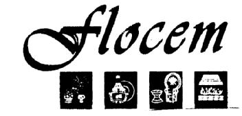 FLOCEM