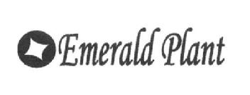 EMERALD PLANT