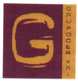 G GRUPOCER XXI