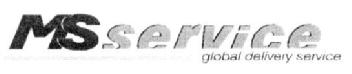 MS SERVICE GLOBAL DELIVERY SERVICE