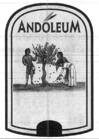 ANDOLEUM