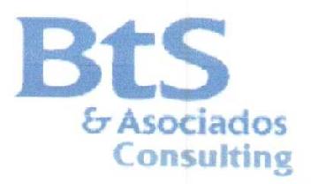 BTS & ASOCIADOS CONSULTING